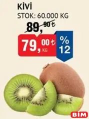 KİVİ KG KİVİ KG